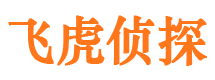 珙县市侦探公司